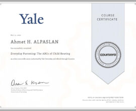 Everyday-Parenting-The-ABCs-of-Child-Rearing